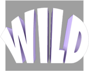 Space Wars Screenshot