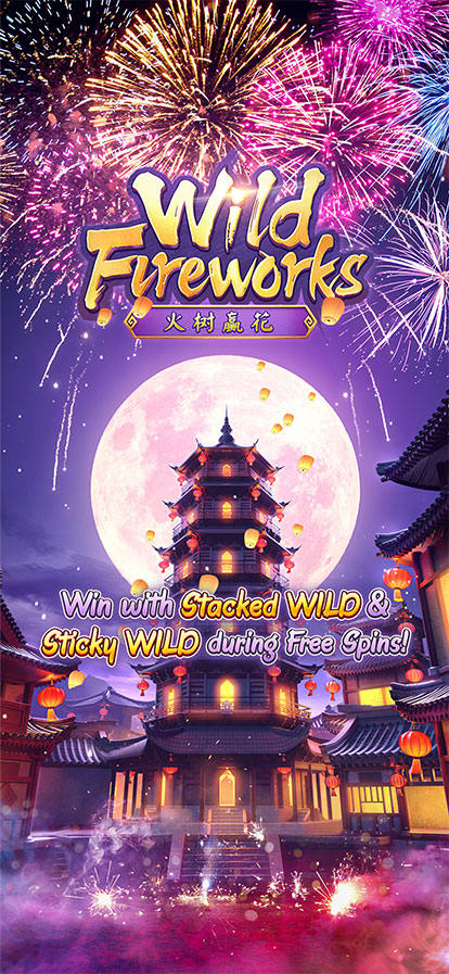 Wild Fireworks Screenshot